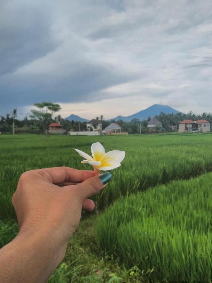 Svaha Ubud Kültér fotó